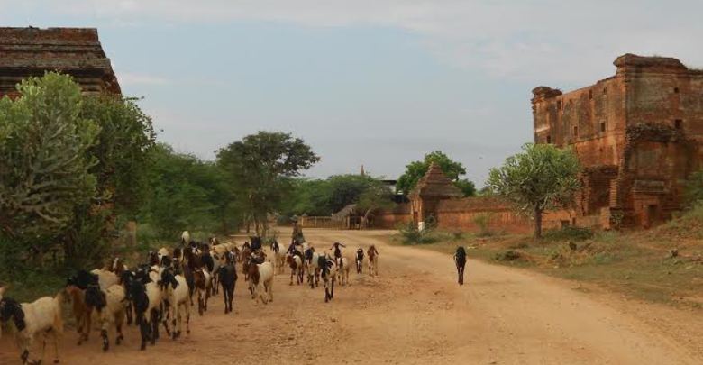 ◎Bagan 通信 第20回 ― バガンの真骨頂