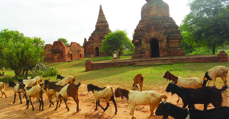 ◎Bagan 通信 第10回 遺跡の中にある集落・ ミンナントゥ村