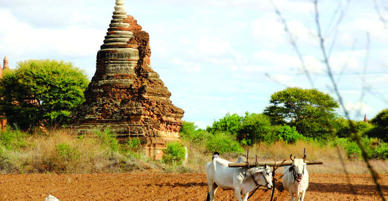 ◎Bagan 通信 第14回 ―――― パゴダの中身